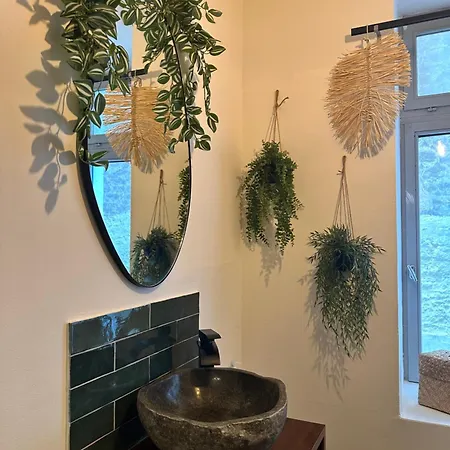 Jungle Fever , Evasion Nature Et Balneo