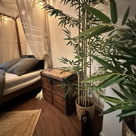 Jungle Fever , Evasion Nature Et Balneo Love hotel Boulogne-sur-Mer