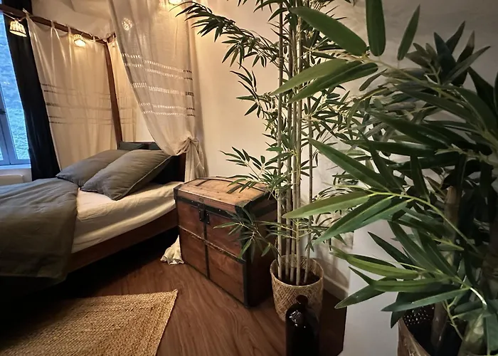 Jungle Fever , Evasion Nature Et Balneo Liefdeshotel Boulogne-sur-Mer