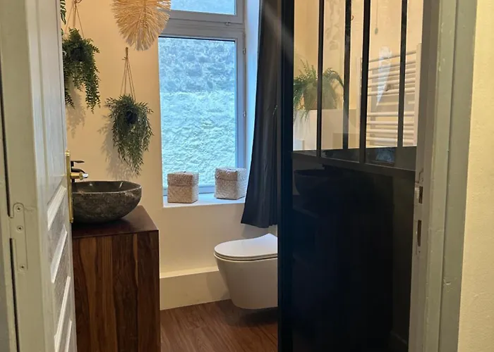 Jungle Fever , Evasion Nature Et Balneo Boulogne-sur-Mer